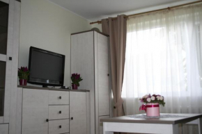 Cosy one room apartment, Vilnius